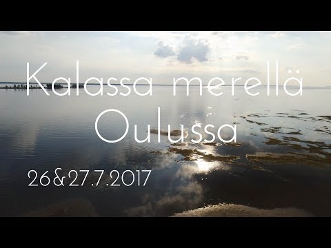 Kalastusta merellä Oulussa // Vaan kalastusta(4)
