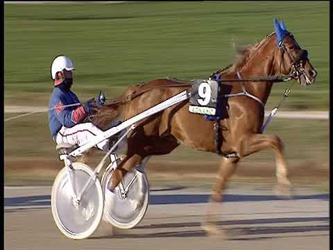 Trotto 18/12/2018 - 1ª corsa