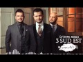 3 Sud Est Emotii (Dj Dark Remix) 