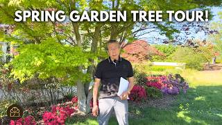 Spring Garden Tour: My Favorite Plants, Wisteria Bonsai, and Landscaping Trees