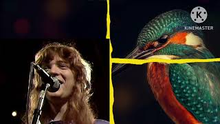 Hard Rock Time The Sweet HD