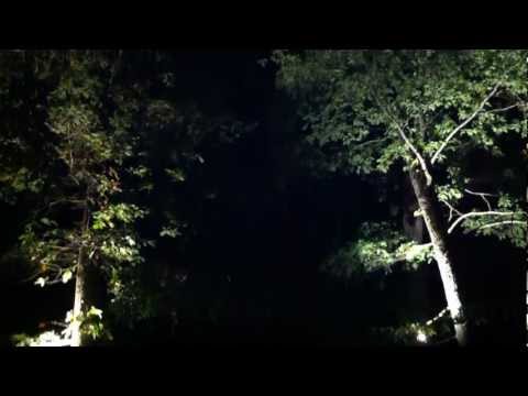 ROARING SPIRIT @ DUB THE WOOD 2 - 05.10.2012 Dizy, VD Switzerland