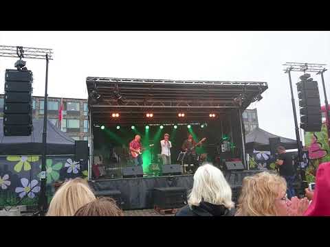 Thumbnail for The Jimi Hendrix Tribute by Jimi Hendrix