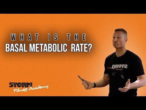 What is basal metabolic rate [BMR] ?  | Storm Fitness Academy