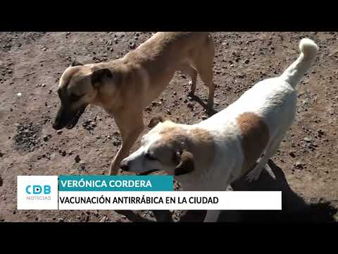 VACUNACION ANTIRRÁBICA 2026 | CORRAL DE BUSTOS