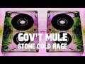 Gov't Mule - Stone Cold Rage (Lyric Video)