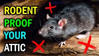8 Proven Methods To Get Rid of Rodents in the Attic