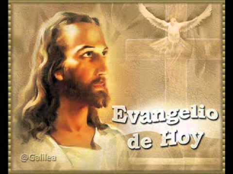 EVANGELIO 13 DE JUNIO 2014, MONS  ENRIQUE DÍAZ