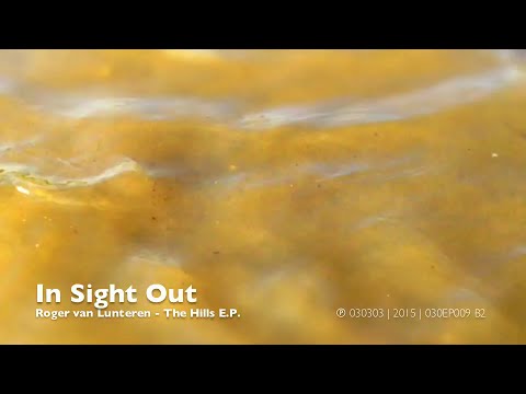 Roger van Lunteren - In Sight Out - 030303 Records