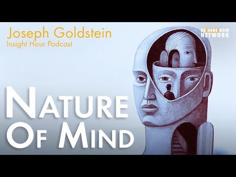 Joseph Goldstein on Nature of Mind - Insight Hour Ep. 150