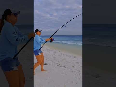 Bent rod! #fyp #girl #fishing #beach #foryou #viral #shorts #florida #fun #pensacola #catch #ray