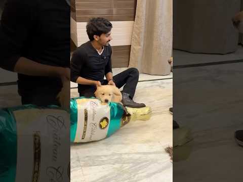 Leo ka baby bottle le gaya😂 #shorts | Anant Rastogi