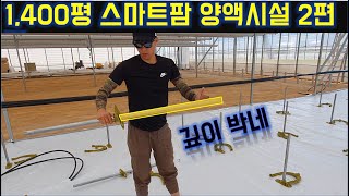 1400평스마트팜 양액시설 2편 / 바닥재/ 딸기 / U배드 / 습식난방 / 양액재배