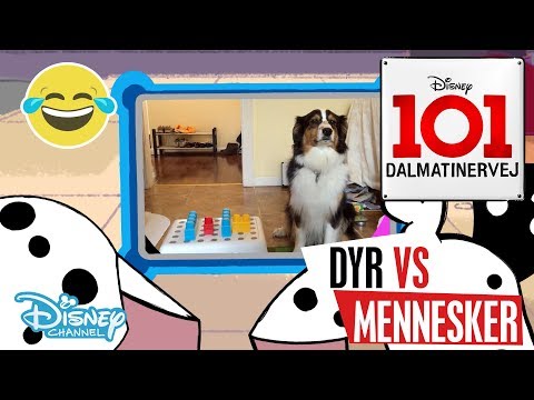 Dalmatinervej 101 | Dyr vs Mennesker: Tid til leg 🐶- Disney Channel Danmark