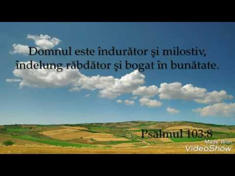 Se duce viata ta- Ilie Neagu