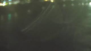 【🔴逗子海岸ライブカメラ3 PTZ】海の家ズーム live webcam