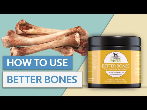 How to Use Better Bones