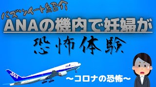 【バズTwitterNews】ANAの神対応