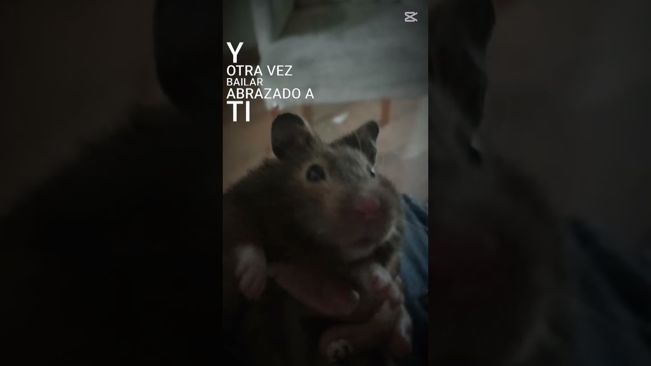 porque te fuiste te necesito 🥺🥹