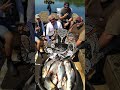 Bowfishing In West Kentucky Join The Adventure