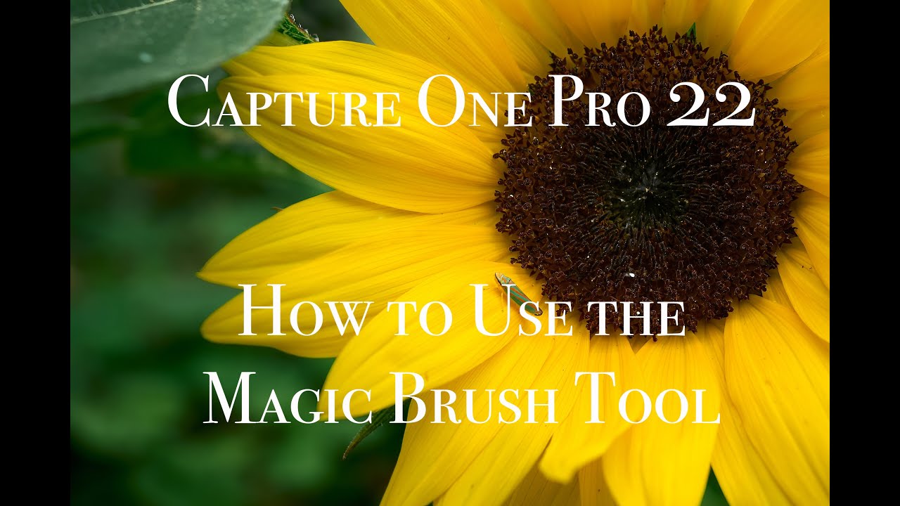Capture One 22: Using the Magic Brush