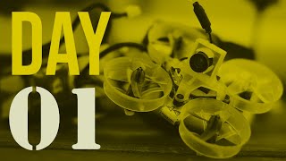 My First Flight Experience | Learning to Fly Newbeedrone Acrobee FPV Cinewhoop Drone