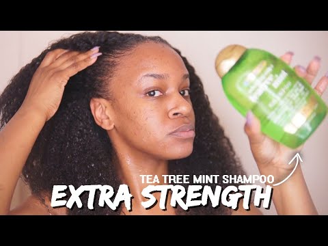 Wash & Deep Condition | Refreshing Scalp Stimulation...