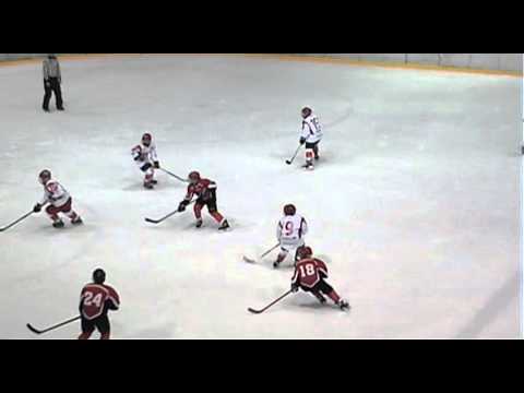 crvena zvezda - jesenice u14 5-12-2015.bgd