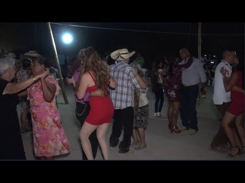 download lagu mp3 mp4 Burro Pardo, download lagu Burro Pardo gratis, unduh video klip Burro Pardo