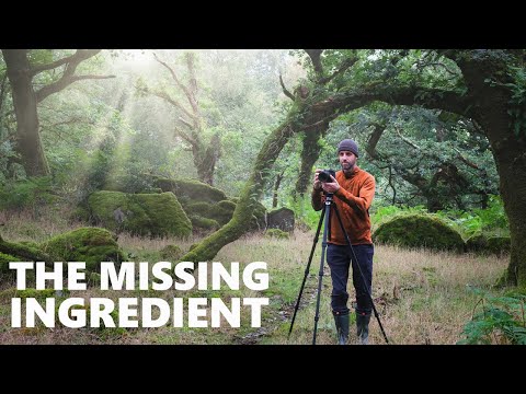 Are You Overlooking the MOST Important Aspect of Landscape Photography?