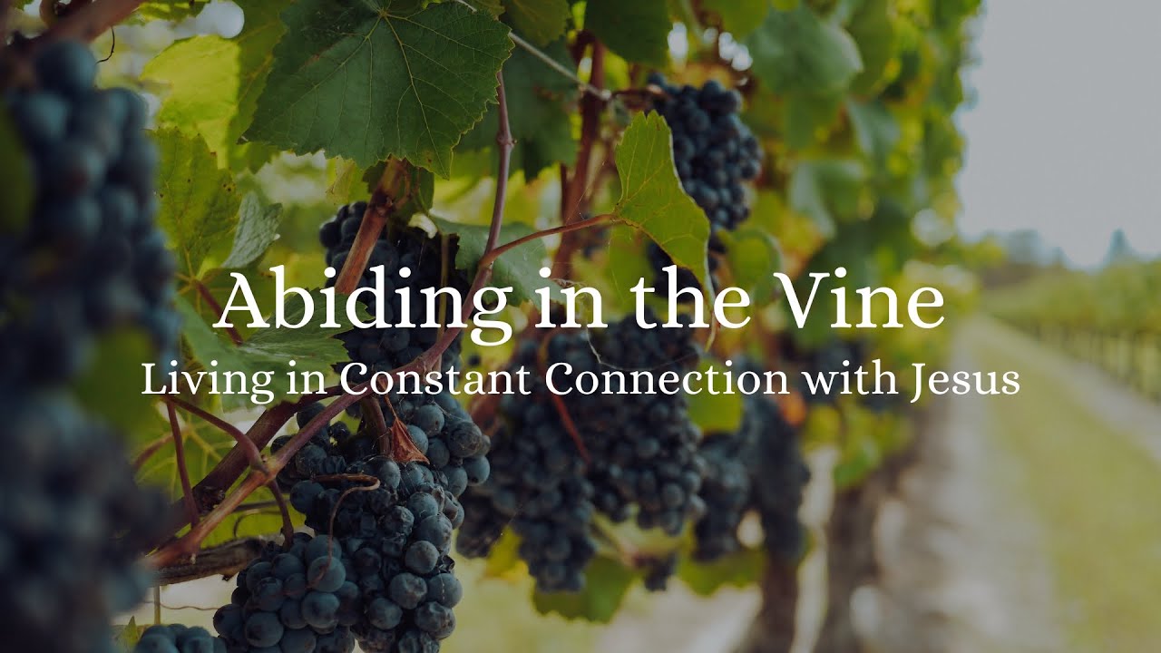 Abiding in the Vine - Jake Ragsdale