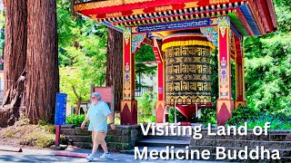 Exploring Land of Medicine Buddha: A Spiritual Journey in the Santa Cruz Redwoods