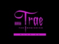 Trae - The Beginning *SLABBED* | Hold On (Ft. Paul Wall & Jay Ton) HQ