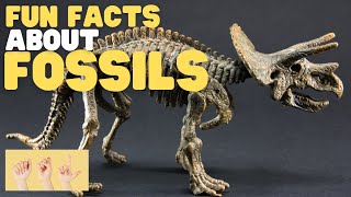 ASL Fun Facts about Fossils