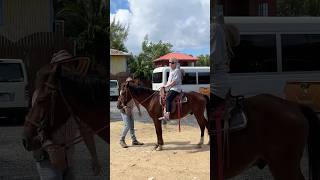 Cruise Excursion Shorts - Horseback Riding, Plus Sloth Park and Beach Break in Roatan, Honduras