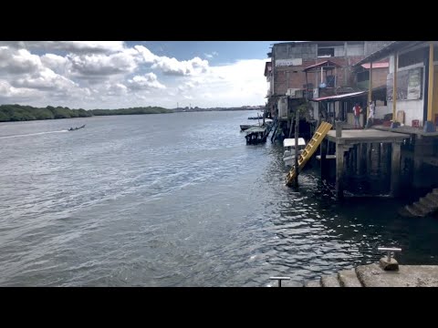 World Report 2019: Colombia | Human Rights Watch