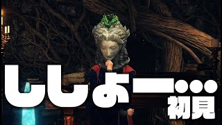 【初見ソロ】迷子のエルデ#15　『久々だけど僕には進捗リストがある！！ドヤァ…』