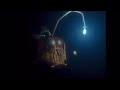 Closing To Finding Nemo 2003 DVD Disc 2