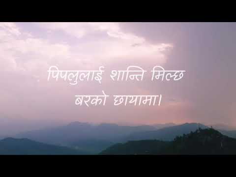 Jharana bhai jhardai aau ||Pramila Pariyar