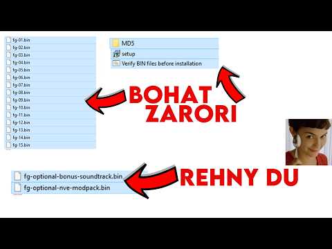 Fitgirl Repack Setup Files Explained