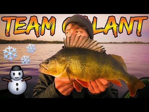 Vinteraborrer og gedder på jig