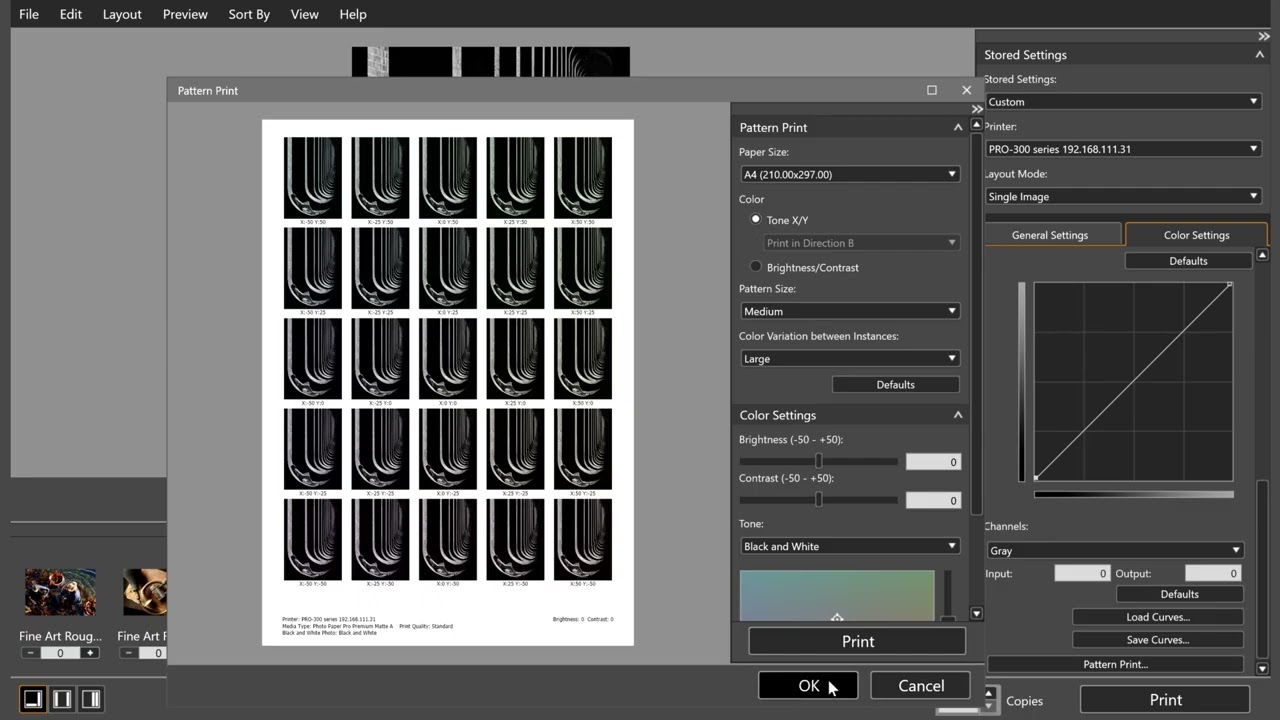 Professional Print & Layout Advanced Level