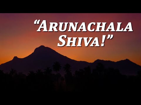 509. Arunachala Shiva !