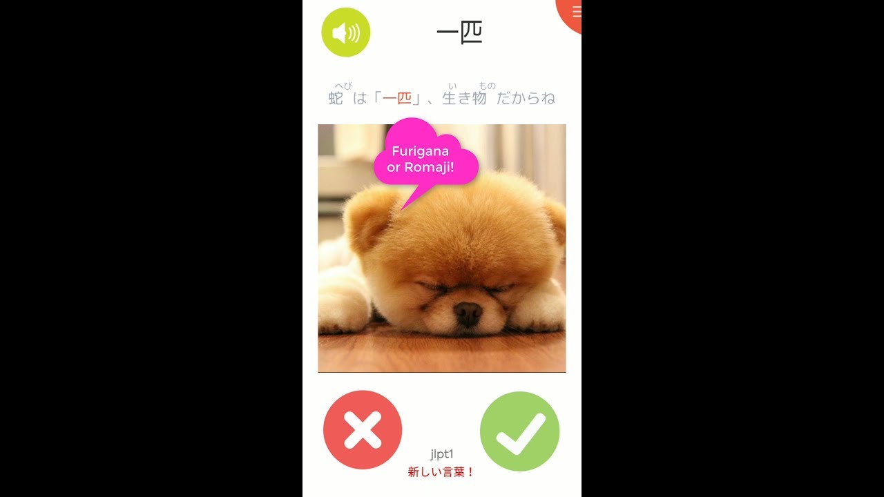 Kanji Image Flashcard App Preview