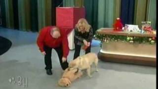 The Bonnie Hunt Show - RIP Biscuit