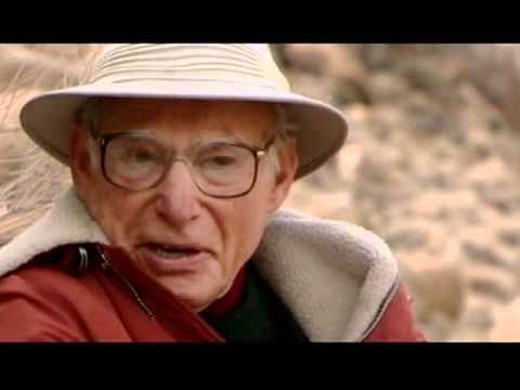 Hofmann's Potion (LSD documentary)