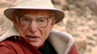 Hofmann's Potion (LSD documentary)