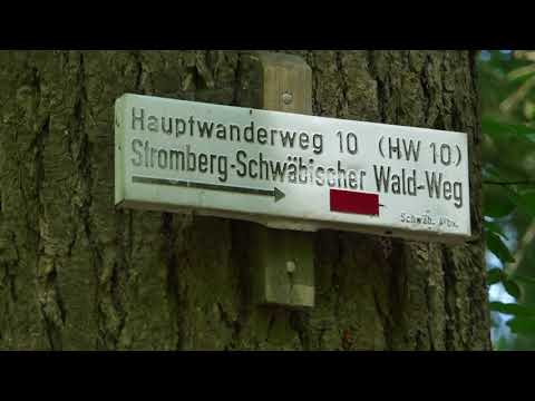 Naturpark Stromberg Heuchelberg . Schwäbischer Wald bei Zaberfeld .