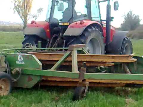 Dani pomar de cinca massey ferguson 5465