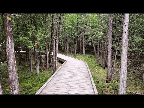 Brokenhead Wetland | Drone Film